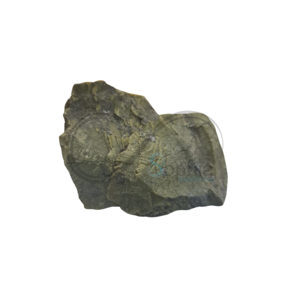 Serpentinite Bruta